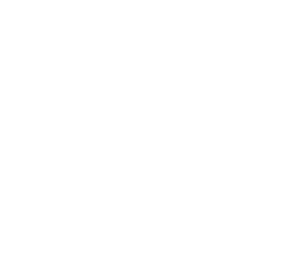 FIESTA DE LA VENDIMIA DEL CACHAPOAL 2025